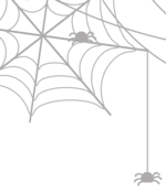 spider-web